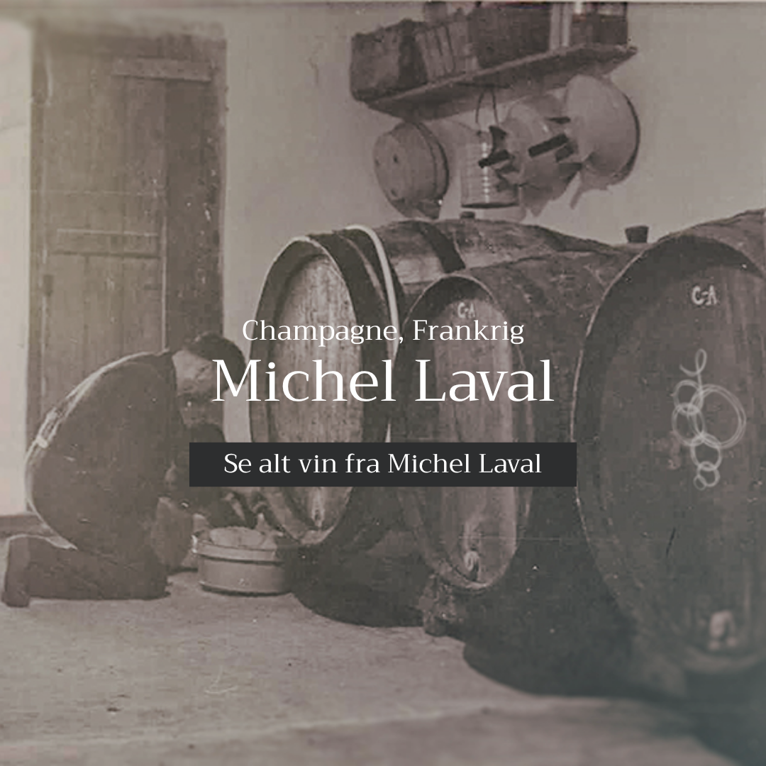 Michel Laval
