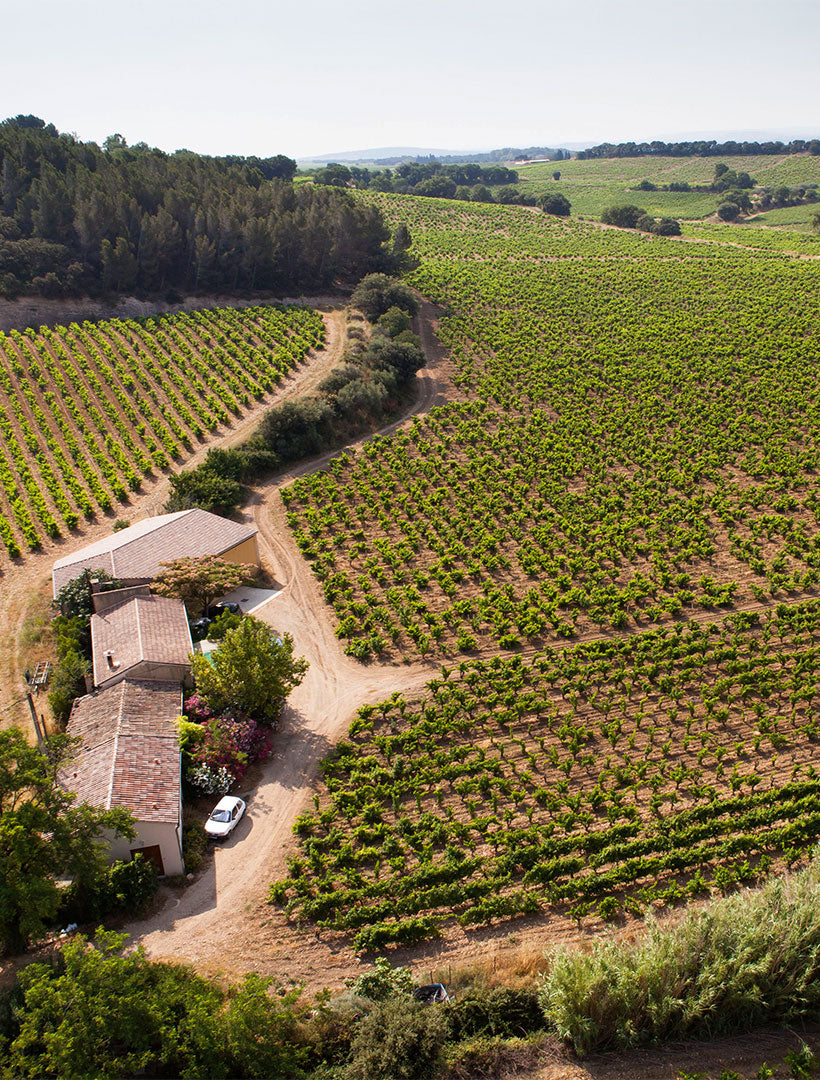 Domaine des Sénéchaux
