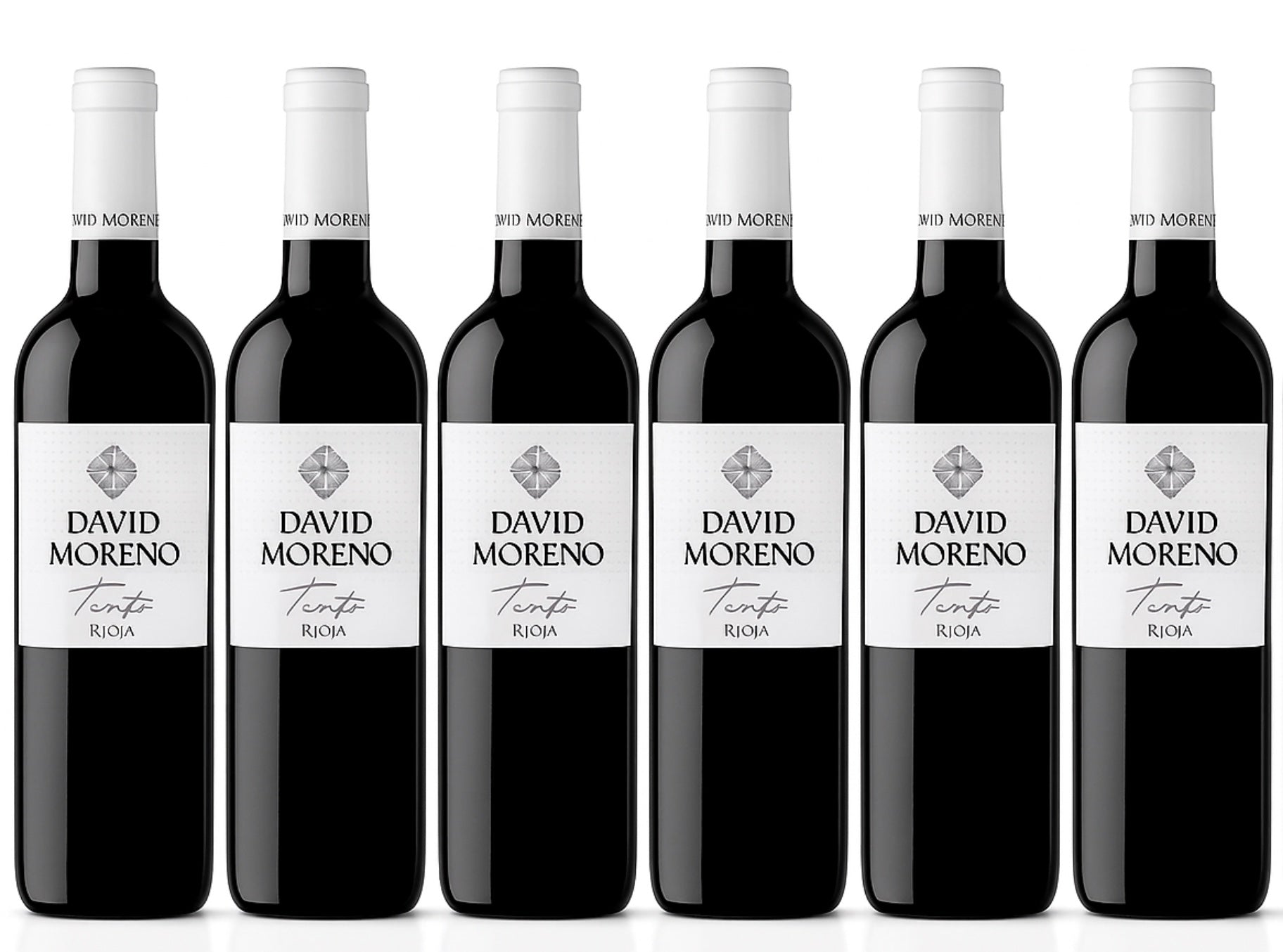 David Moreno Tinto 2024