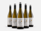 Tenuta Villanova Traminer Aromatico DOC Friuli Isonzo 2024