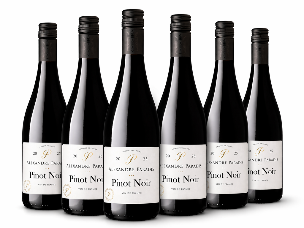 Pinot Noir – Vin de France | Alexandre Paradis