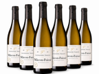 Mâcon-Fuissé – Bourgogne | Alexandre Paradis