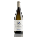 Villanova Sauvignon DOC Friuli Isonzo 2023